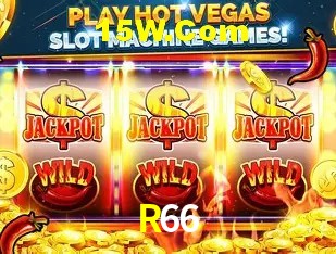 Ofertas Exclusivas R66